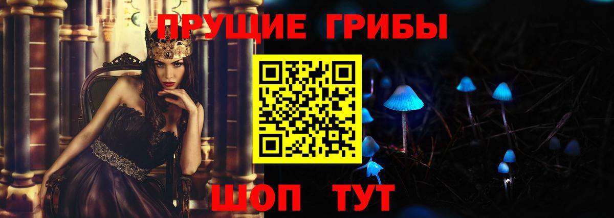 Псилоцибиновые грибы Magic Shrooms  Вход с VPN  Камышин  Псилоцибиновые грибы Cubensis 